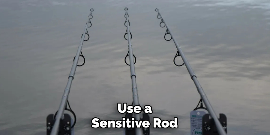 Use a Sensitive Rod