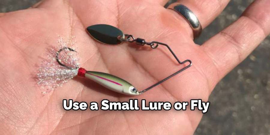 Use a Small Lure or Fly