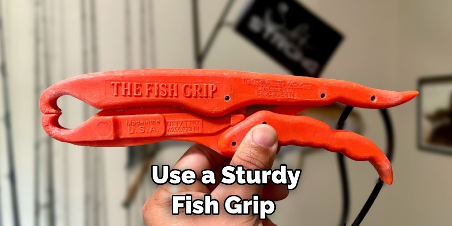 Use a Sturdy Fish Grip 