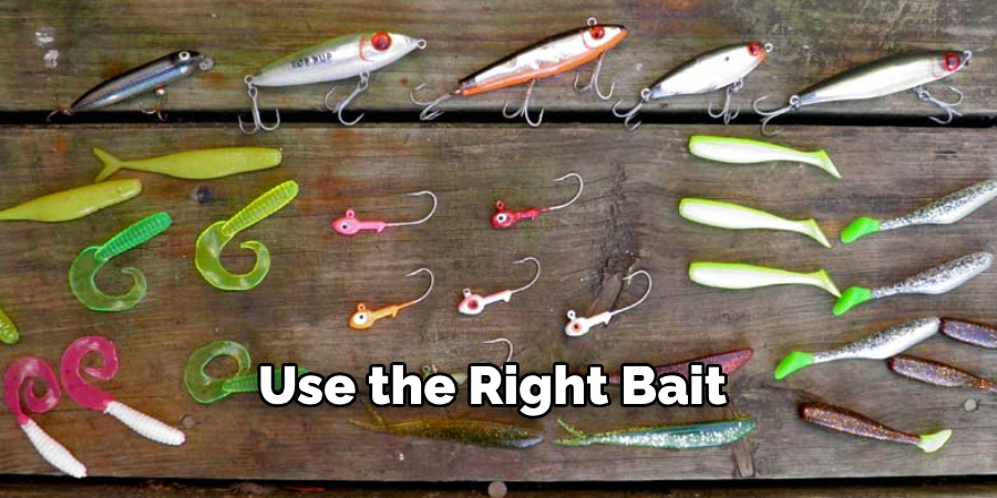 Use the Right Bait 