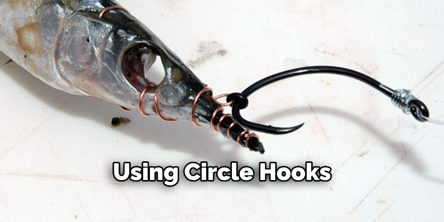 Using Circle Hooks