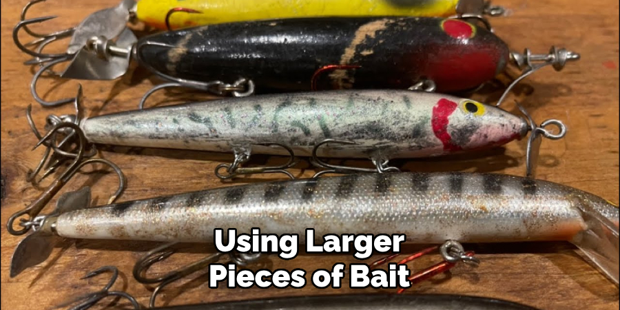 Using Larger Pieces of Bait