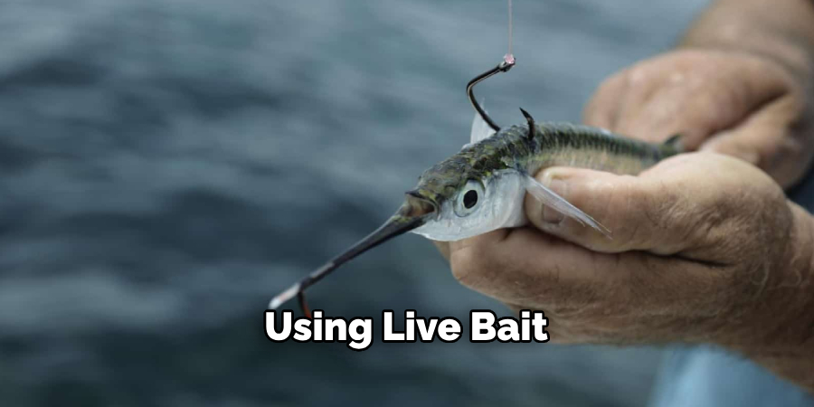 Using Live Bait