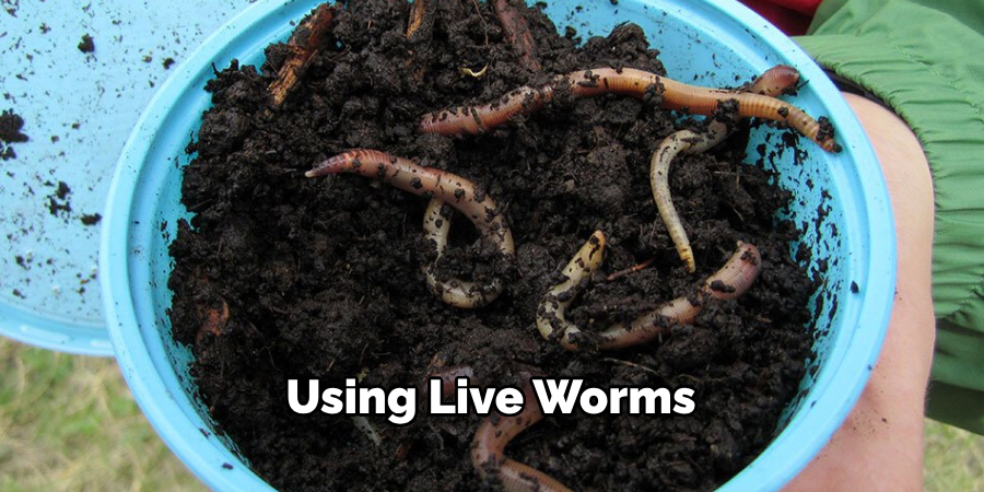 Using Live Worms