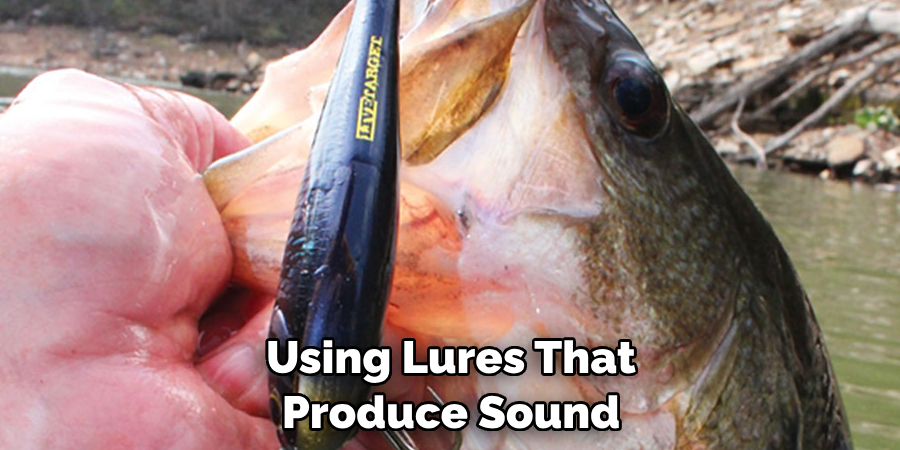 Using Lures That 
Produce Sound