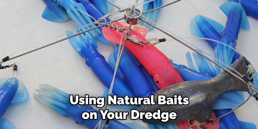 Using Natural Baits on Your Dredge