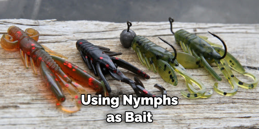 Using Nymphs as Bait