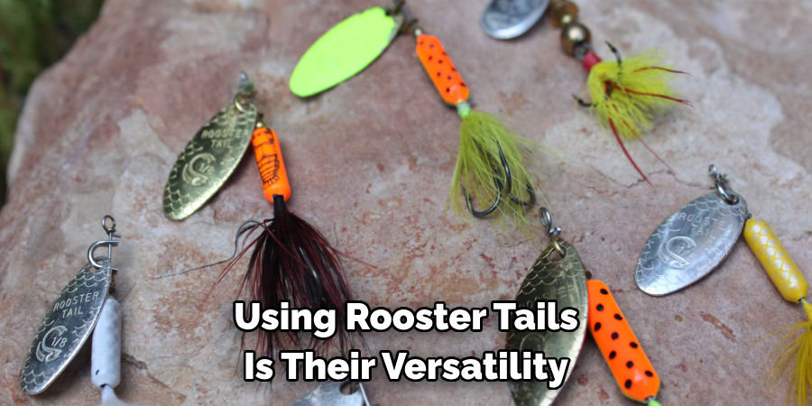 Using Rooster Tails 
Is Their Versatility