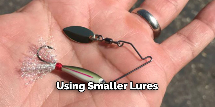 Using Smaller Lures