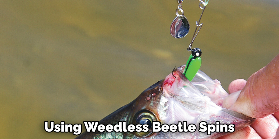  Using Weedless Beetle Spins