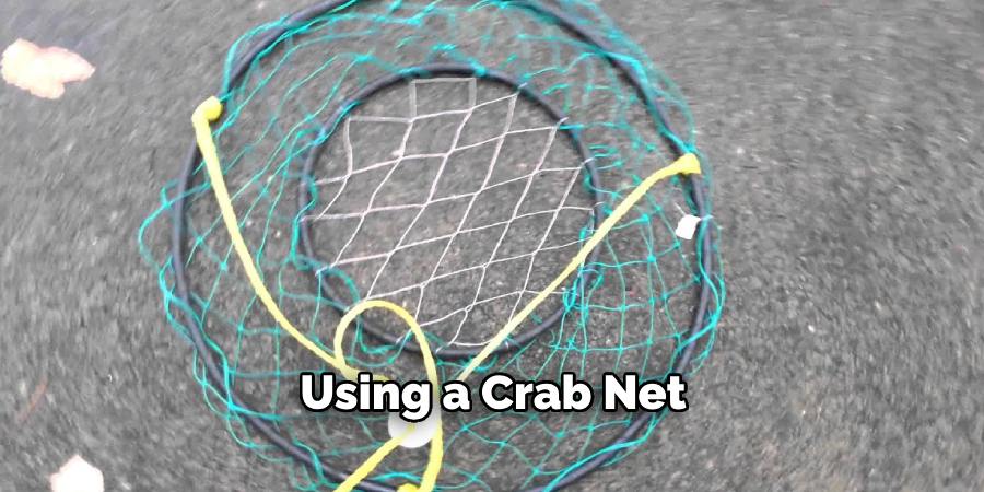 Using a Crab Net
