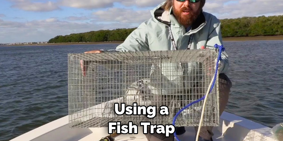 Using a Fish Trap