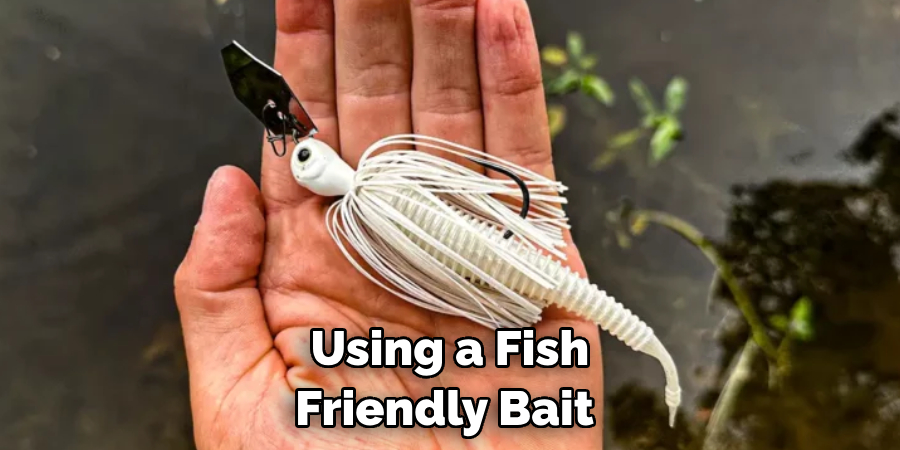 Using a Fish-friendly Bait 