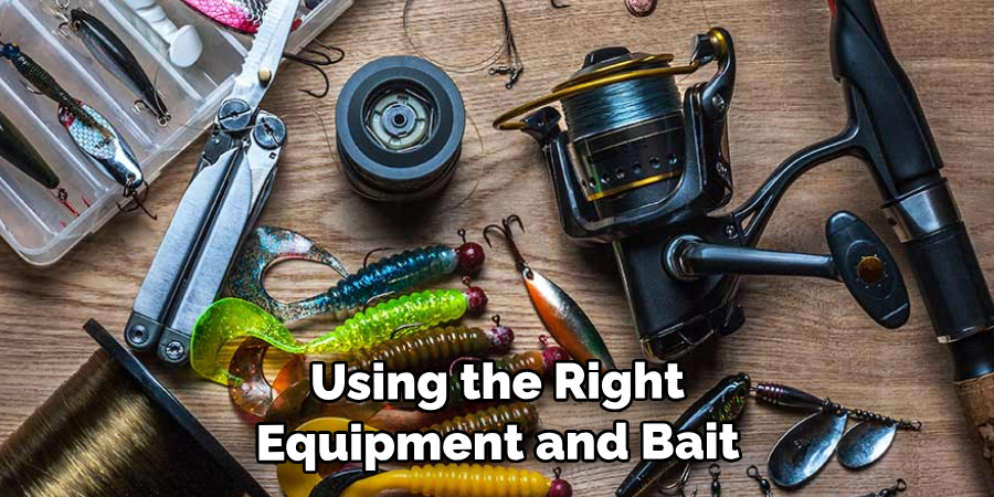 Using the Right Equipment and Bait