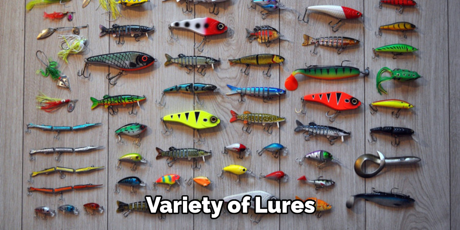 Variety of Lures 