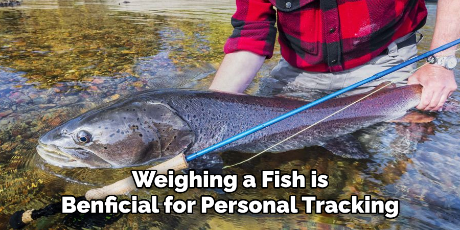 Weighing a Fish is Beneficial for Personal Tracking