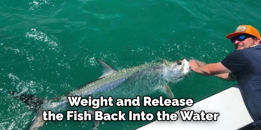 Weight and Release the Fish Back Into the Water