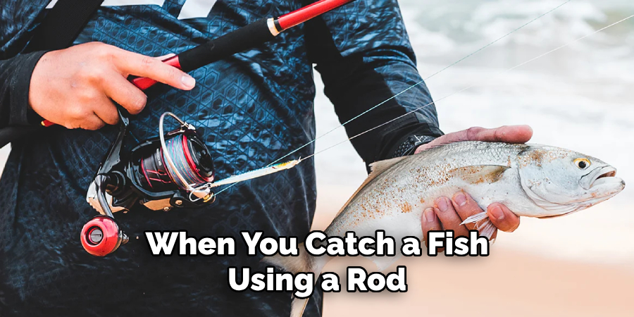 When You Catch a Fish Using a Rod