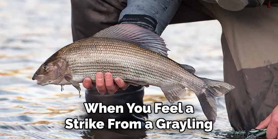 When You Feel a Strike From a Grayling