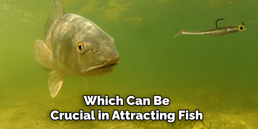 Which Can Be Crucial in Attracting Fish