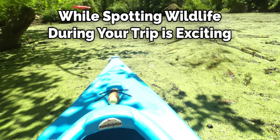 While Spotting Wildlife 
During Your Trip is Exciting