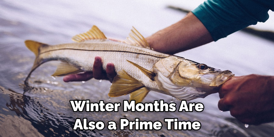 Winter Months Are Also a Prime Time