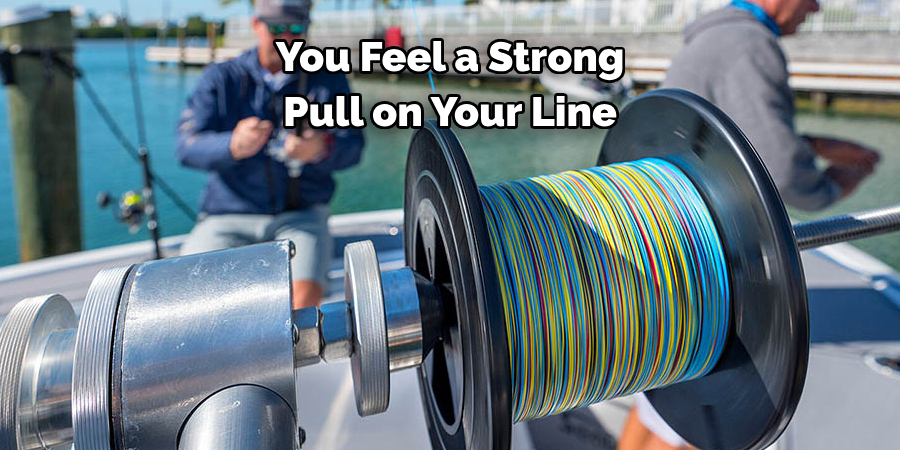 You Feel a Strong Pull on Your Line