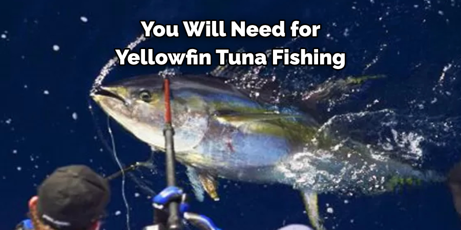 You Will Need for Yellowfin Tuna Fishing