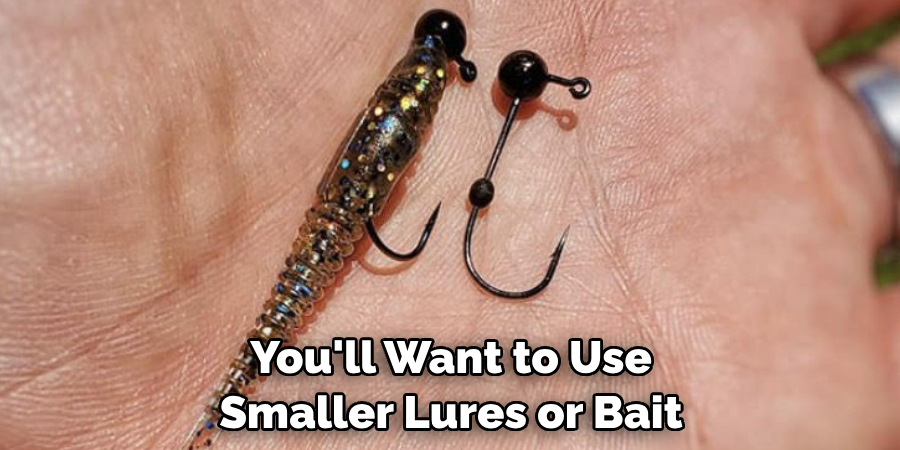 You'll Want to Use 
Smaller Lures or Bait