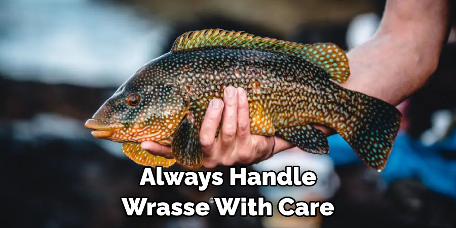 Always Handle Wrasse With Care