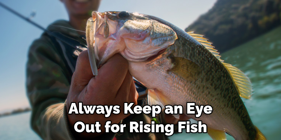 Always Keep an Eye Out for Rising Fish