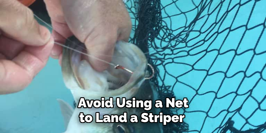 Avoid Using a Net to Land a Striper