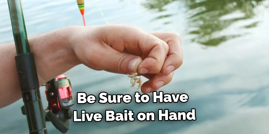 Be Sure to Have Live Bait on Hand