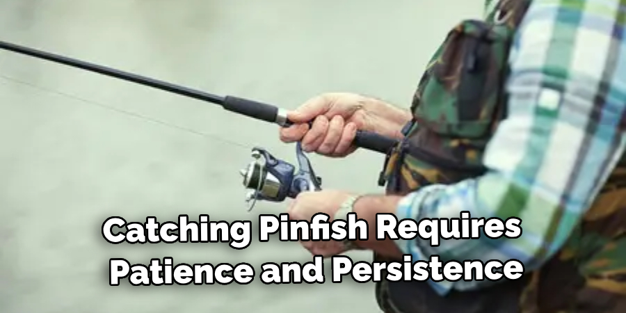 Catching Pinfish Requires Patience and Persistence