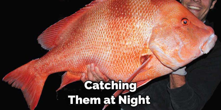 Catching Them at Night 