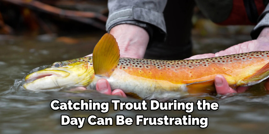 Catching Trout During the Day Can Be Frustrating