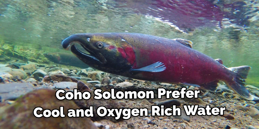 Coho Solomon Prefer Cool and Oxygen Rich Water