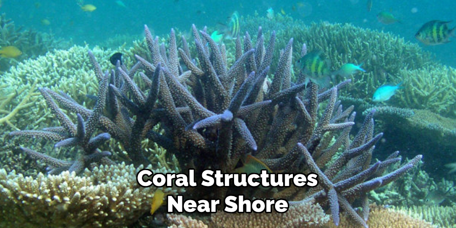 Coral Structures Near Shore