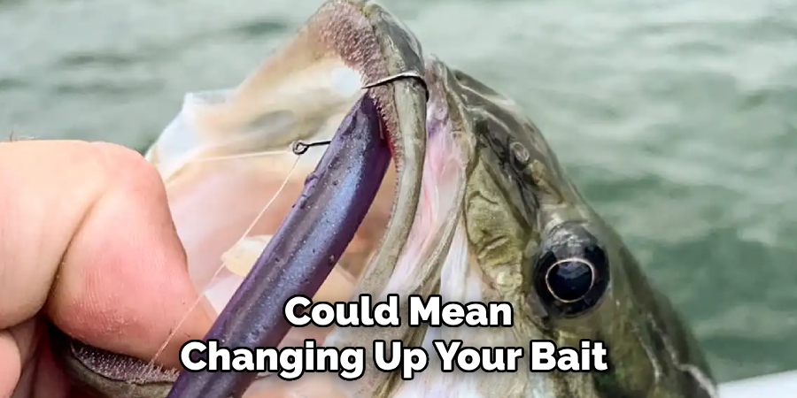 Could Mean Changing Up Your Bait 