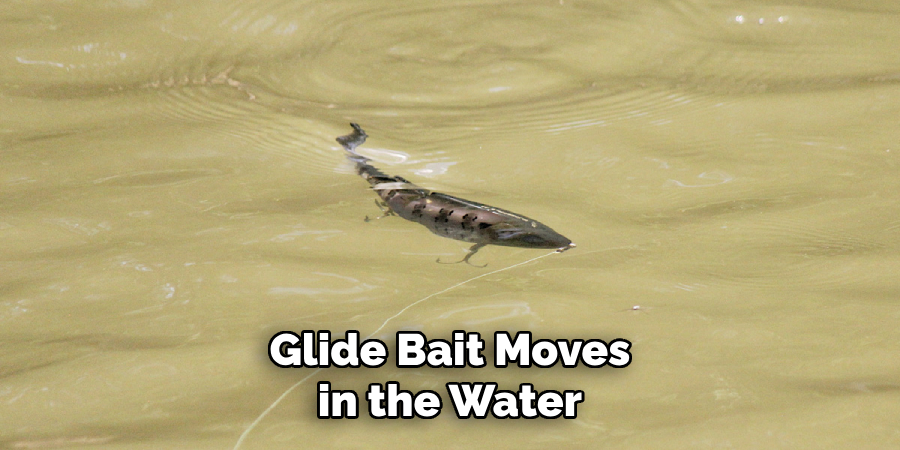 Glide Bait Moves in the Water