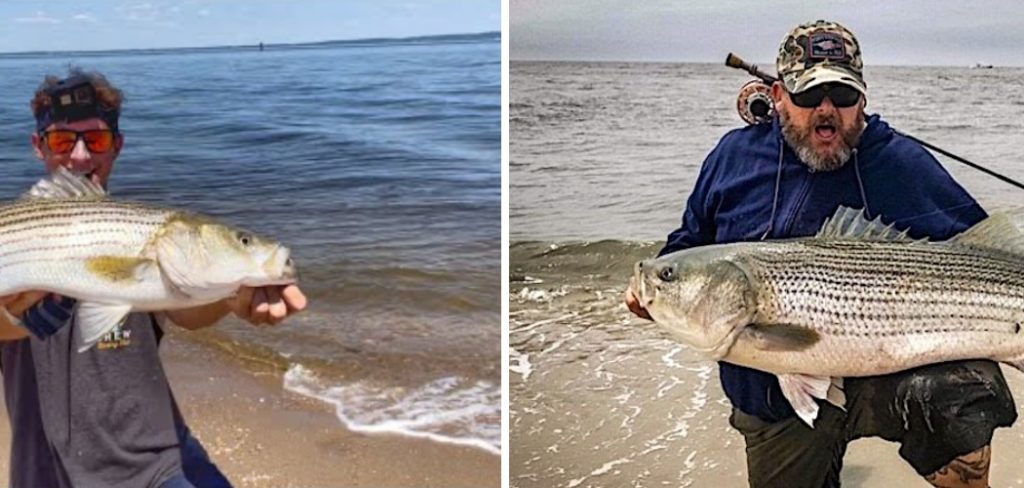 How to Striper Fish From Shore