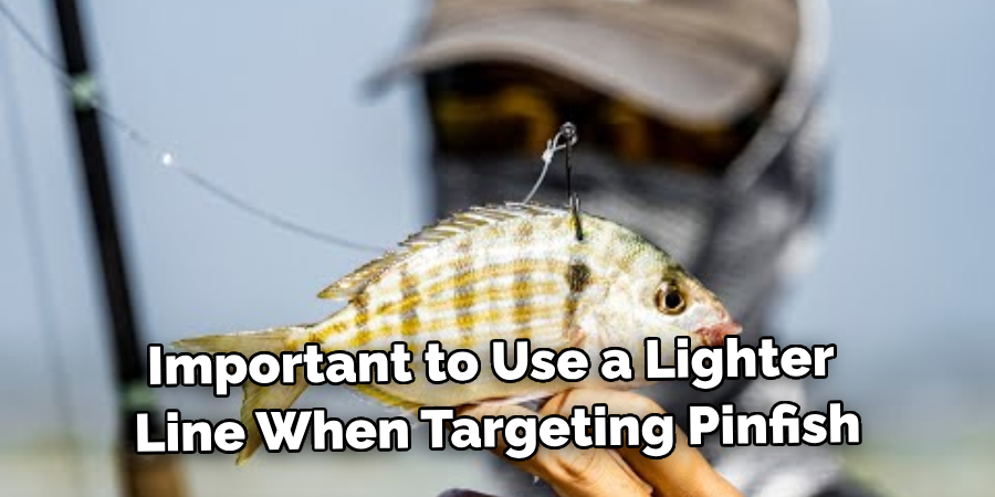 Important to Use a Lighter Line When Targeting Pinfish