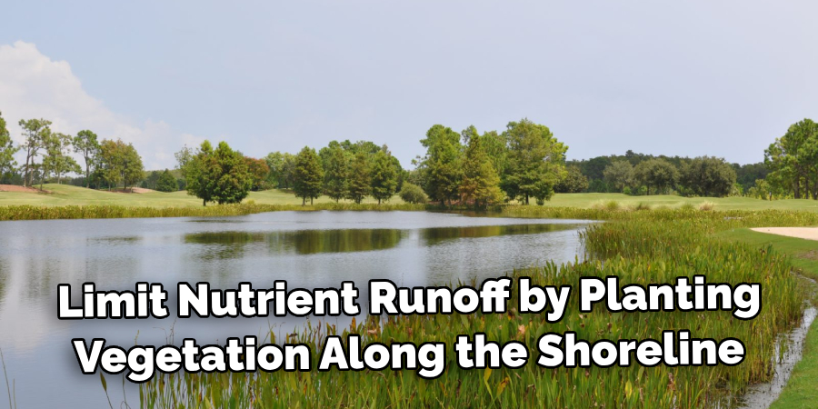 Limit Nutrient Runoff by Planting Vegetation Along the Shoreline