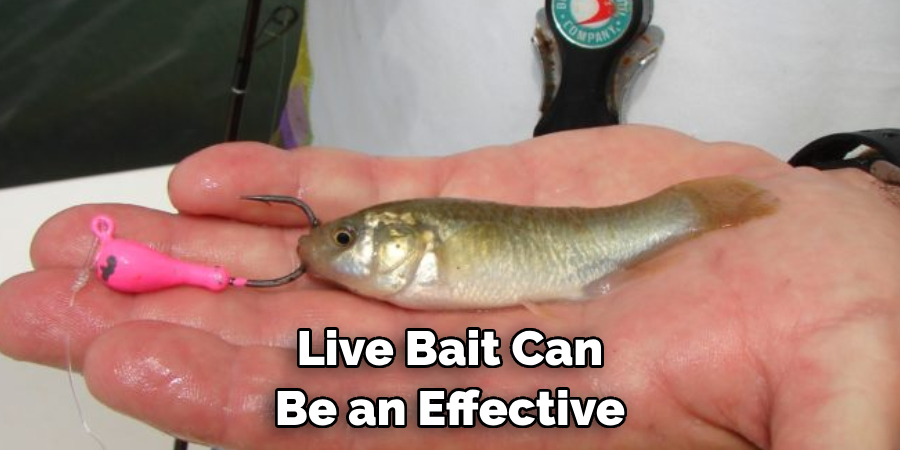 Live Bait Can Be an Effective