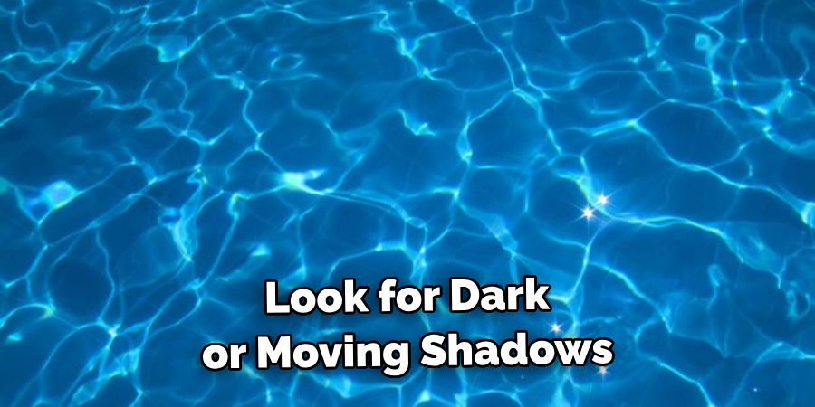 Look for Dark or Moving Shadows