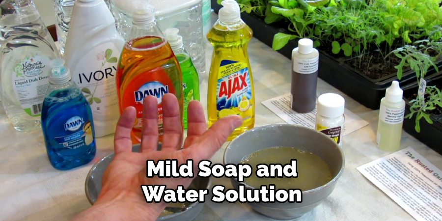 Mild Soap and Water Solution