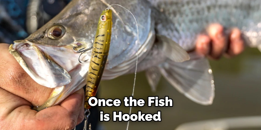 Once the Fish is Hooked