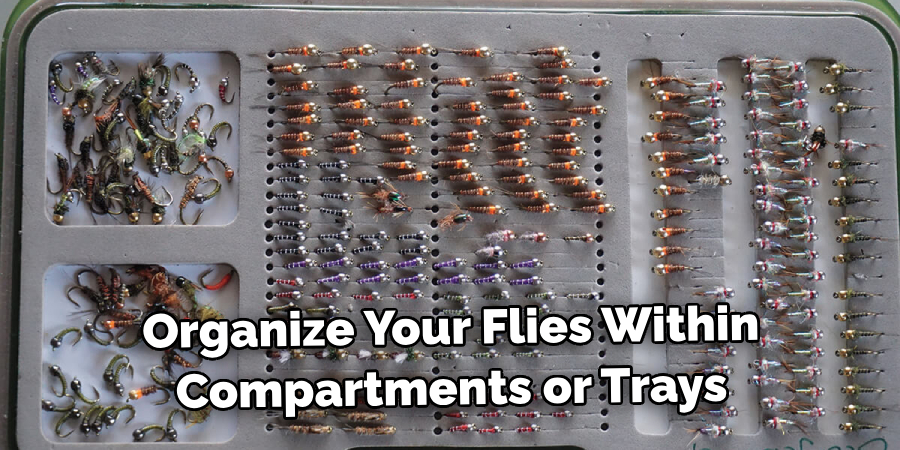 Organize Your Flies Within Compartments or Trays