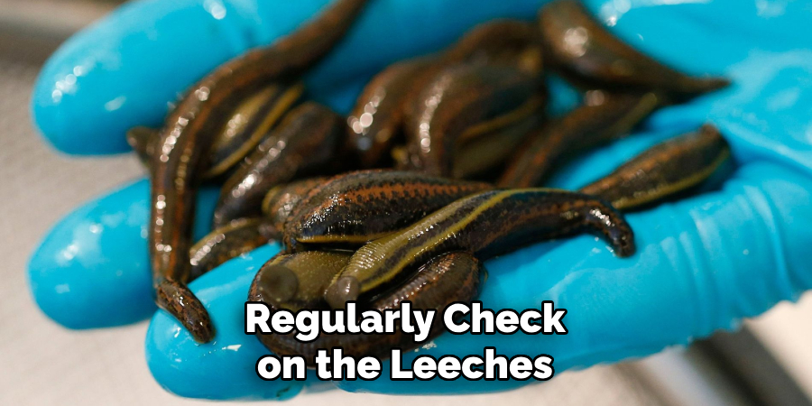 Regularly Check on the Leeches