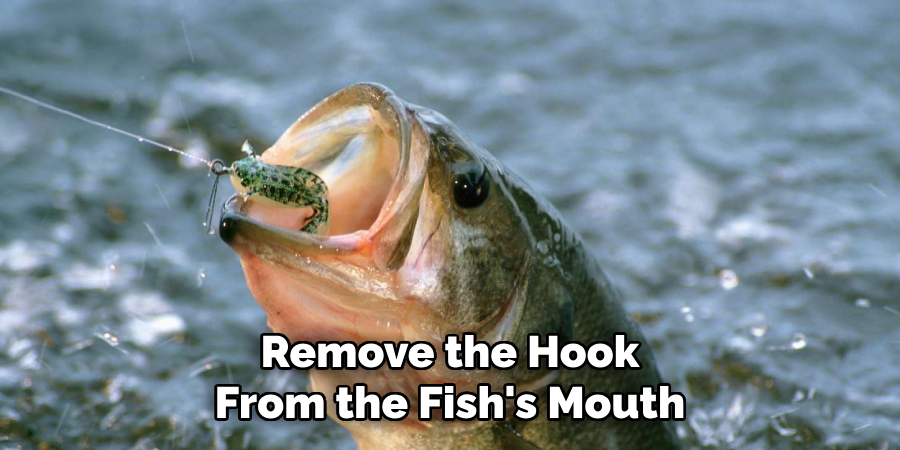 Remove the Hook From the Fish's Mouth